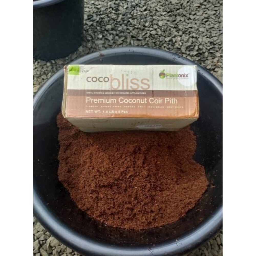 Coco Coir (650 Grams, 5 Bricks) - Compressed Coco Coir Bricks with Low EC and pH
